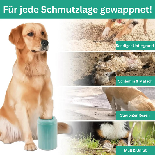 PfotenRein